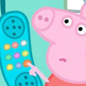 Meet your Posher, Sauli